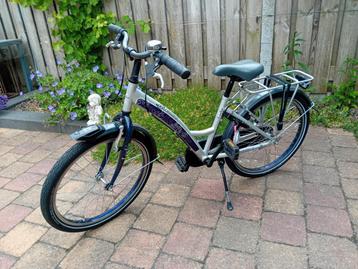 Loekie Romanz 22 inch beschikbaar voor biedingen