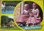 Mooi Friesland - nieuw, Verzamelen, Ansichtkaarten | Nederland, Verzenden, 1980 tot heden, Ongelopen, Friesland