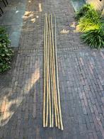 Bamboe stokken ong 3.00 meter lang., Ophalen, Gebruikt, 250 cm of meer, Overige typen