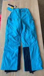 Nieuwe Gaastra skibroek, maat S, Kleding | Dames, Wintersportkleding, Ophalen of Verzenden, Nieuw, Maat 36 (S), Broek