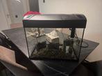 Aquarium, Dieren en Toebehoren, Vissen | Aquaria en Toebehoren, Ophalen of Verzenden, Zo goed als nieuw, Leeg aquarium
