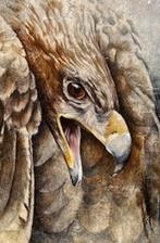 Uniek schilderij van Doris Drabbe, Antiek en Kunst, Ophalen