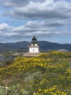 Spaanse les, Diensten en Vakmensen, Bijles, Privé-les en Taalles, Bijles