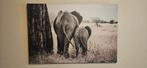 schilderij olifant 120 cm x 80 cm, Ophalen, Zo goed als nieuw, Schilderij, 100 tot 125 cm