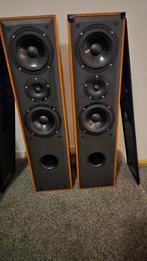 Dali blue 5005, Zo goed als nieuw, 120 watt of meer, Front, Rear of Stereo speakers, Ophalen