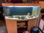 Juwel Vision 450 aquarium met onderkast en JBL e1902 filter, Ophalen, Gebruikt, Gevuld zoetwateraquarium