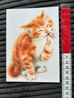 1170. Kaart illustr Rode poes kitten, Ophalen of Verzenden, 1980 tot heden, Ongelopen