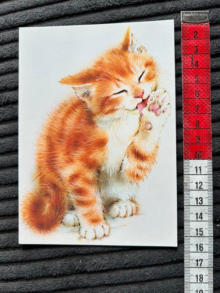 1170. Kaart illustr Rode poes kitten, Verzamelen, Ansichtkaarten | Themakaarten, Ongelopen, 1980 tot heden, Ophalen of Verzenden