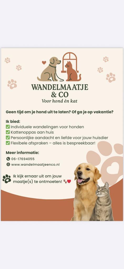Hondenuitlaat, kattenoppas in Purmerend e.o.!, Dieren en Toebehoren, Katten en Kittens | Overige Katten, Geslacht onbekend