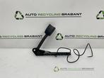 Veiligheidsgordel Insteek links-voor van een Ford Focus, Gebruikt, -, -, Ophalen of Verzenden