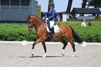 Zadelmak maken, corrigeren/doorrijden,uitbrengen op concours