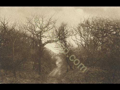 Bergen (NH) - 's Heerenwei in de duinen bij [KRST005-1324, Verzamelen, Ansichtkaarten | Nederland, Gelopen, Noord-Holland, 1920 tot 1940