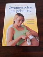 T. Villinger - Zwangerschap en geboorte, T. Villinger; B. Gebauer-Sesterhenn, Zwangerschap en Bevalling, Ophalen of Verzenden