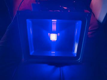 ✅Professionele Blacklight UV Floodlight - 32W LED HALLOWEEN  beschikbaar voor biedingen