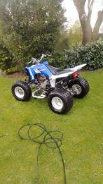 Yamaha Raptor 250cc, Motoren