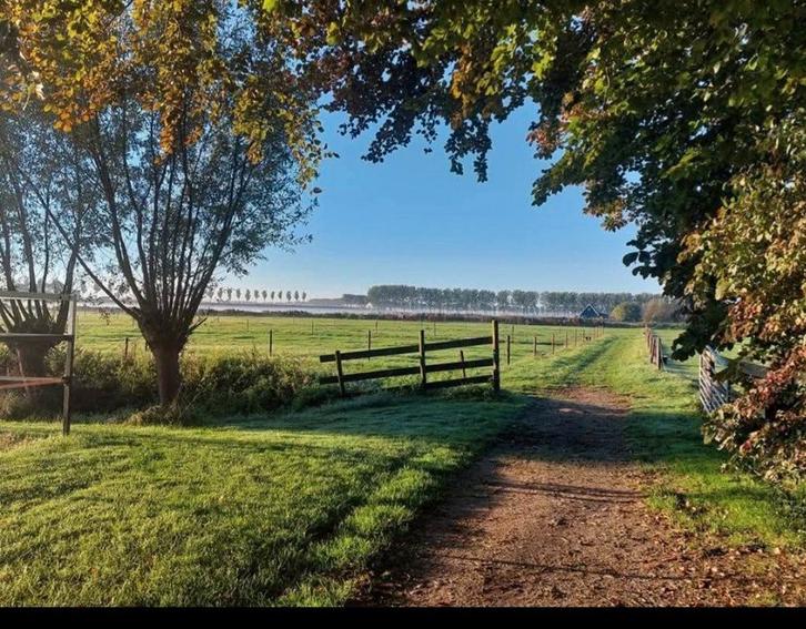 Wachtlijst, Dieren en Toebehoren, Stalling en Weidegang, Weidegang