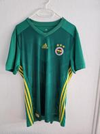 Van Persie 10 Shirt 2017/2018 Fenerbahçe, Sport en Fitness, Voetbal, Ophalen of Verzenden, Zo goed als nieuw, Shirt
