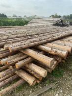 Spar palen naaldhout in barst 400 tot 600cm lengtes, Ophalen of Verzenden, Nieuw, Palen