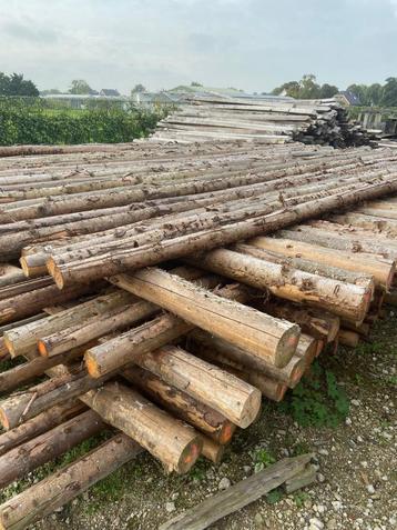 Spar palen naaldhout in barst 400 tot 600cm lengtes beschikbaar voor biedingen