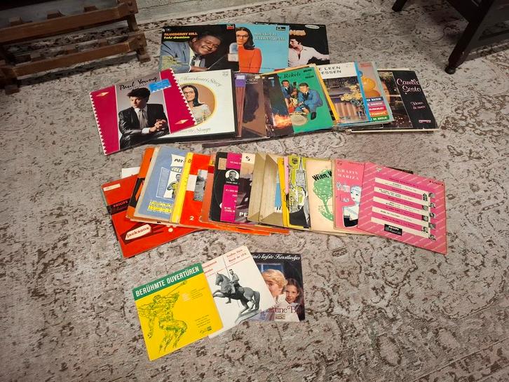 Diverse Vinyl Lp's en Minigroove platen. Zie omschr,, Cd's en Dvd's, Vinyl | Overige Vinyl, Gebruikt, Overige formaten, Ophalen