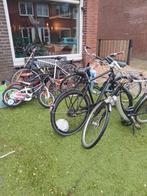 Diverse fietsen te koop, Versnellingen, Ophalen, Overige merken, 53 tot 56 cm