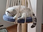 Superleuke macrame hangstoel voor de KAT, incl. accessoires, Ophalen of Verzenden, Nieuw, Katoen