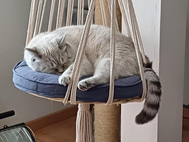 Superleuke macrame hangstoel voor de KAT, incl. accessoires, Dieren en Toebehoren, Kattenmanden, Nieuw, Katoen, Ophalen of Verzenden
