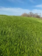 Gezocht kunstgras, Tuin en Terras, Gras en Kunstgras, Ophalen of Verzenden, Zo goed als nieuw, Minder dan 10 m²