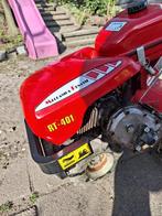 Tuinfrees Meccanica Benassi RT401, Tuin en Terras, Ophalen, Gebruikt, Overige soorten, Overige merken