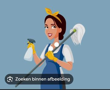 Schoonmaak adresjes gezocht! beschikbaar voor biedingen