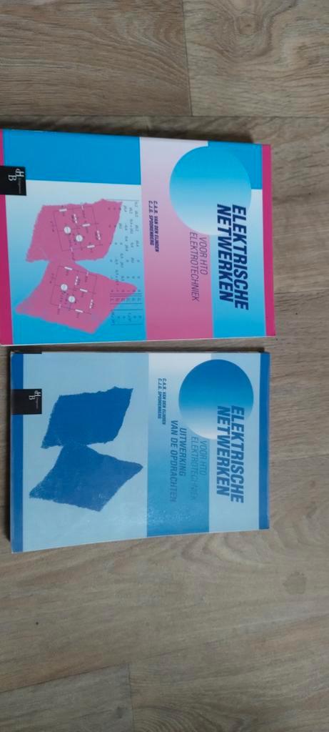 Elektrische Netwerken - C.L.J. van der Steen, Boeken, Studieboeken en Cursussen, Gelezen, MBO, Beta, Ophalen of Verzenden