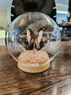 Prachtige vlinder in stolp, Ophalen of Verzenden, Zo goed als nieuw, H, H