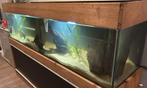 Aquarium 200x50x50, Ophalen, Leeg aquarium