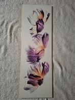 Viva made in Italië( wand 9531,5 cm  / 1 cm dik ), Ophalen