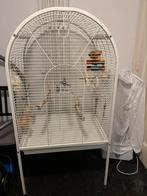 Papegaai kooi ( of andere vogel), Dieren en Toebehoren, Vogels | Hokken en Kooien, Ophalen, Gebruikt, Metaal, Vogelkooi