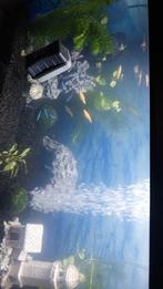 Aquarium 60 liter, Dieren en Toebehoren, Vissen | Aquaria en Toebehoren, Ophalen, Gebruikt