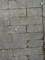 Gratsi grijze waaltje 3 m2, Ophalen, Beton, Terrastegels