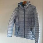 Barbera Lebek korte winterjas, Kleding | Dames, Jassen | Winter, Maat 38/40 (M), Blauw, Ophalen of Verzenden, Zo goed als nieuw