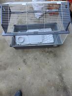 Konijn kooi, Dieren en Toebehoren, Konijnen, Mannelijk