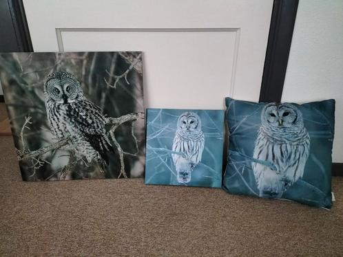 Schilderijtjes en kussen van o.a. een uil., Huis en Inrichting, Woonaccessoires | Schilderijen, Tekeningen en Foto's, Zo goed als nieuw