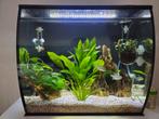 Fluval Flex 57 liter aquarium incl vele extra's, Dieren en Toebehoren, Vissen | Aquaria en Toebehoren, Ophalen, Gebruikt, Gevuld zoetwateraquarium