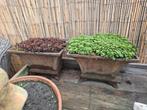 2 Antieke Gietijzeren Bloempotten, Tuin en Terras, Ophalen, Gebruikt, Vierkant, Tuin