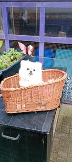 Fietsmandje voor achterop., Ophalen of Verzenden, Zo goed als nieuw, Riet