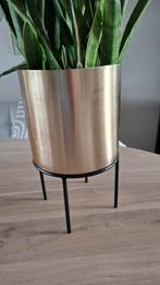 Gouden Bloempot met Standaard, Tuin en Terras, Bloembakken en Plantenbakken, Minder dan 30 cm, Binnen, Minder dan 60 cm, Rond