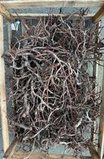 Bonsai takken 2/3 kist, Tuin en Terras, Planten | Bomen, Bloeit niet, Overige soorten, Minder dan 100 cm, Ophalen