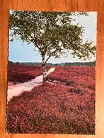 Groeten van de Holterberg - Holten. 1969., Ophalen of Verzenden, 1960 tot 1980, Gelopen, Overijssel