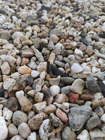 Mooie Siergrind - Natuurlijke Kleuren beschikbaar voor biedingen