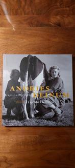 Andries Deinum Fryslân revisited., Boeken, Kunst en Cultuur | Fotografie en Design, Nieuw, Ophalen of Verzenden, Diversen, Fotografie algemeen