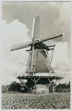 Diever molen 1962, Verzamelen, Ansichtkaarten | Nederland, Ophalen of Verzenden, 1960 tot 1980, Ongelopen, Drenthe
