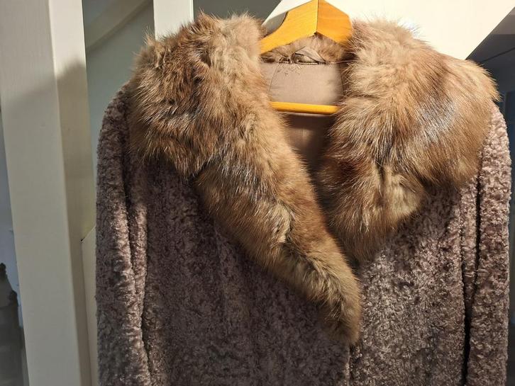 Vintage Bruine Bonte Jas met Nertsen Bontkraag, Kleding | Dames, Jassen | Winter, Gedragen, Maat 38/40 (M), Bruin, Ophalen
